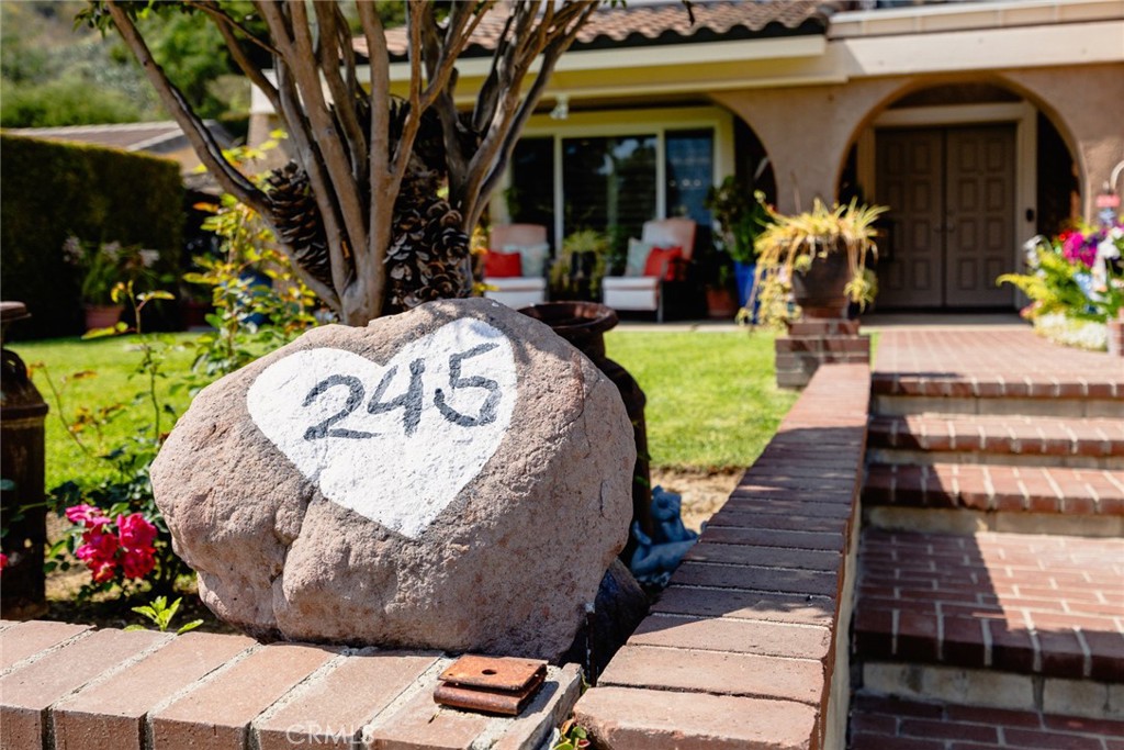 245 Maverick Drive