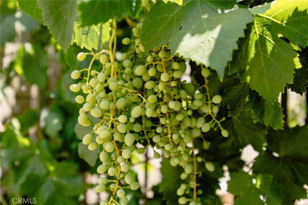 187 W Montecito Avenue