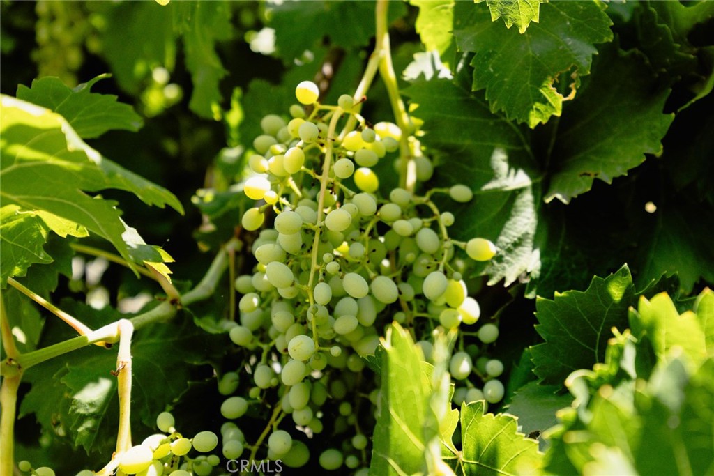 187 W Montecito Avenue