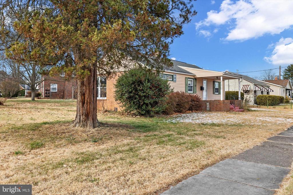 100 ROSEMONT