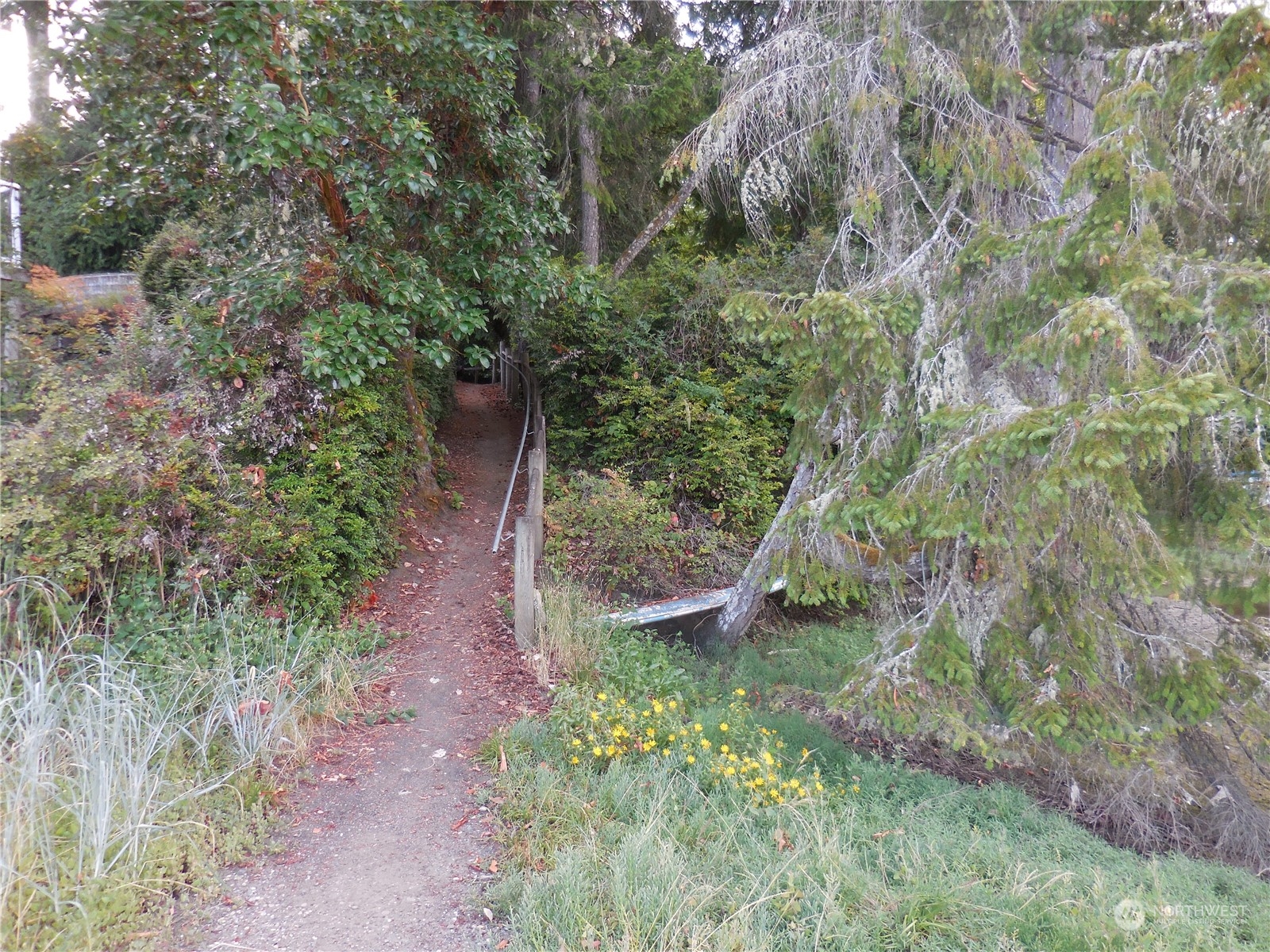 160 E Barbary Drive