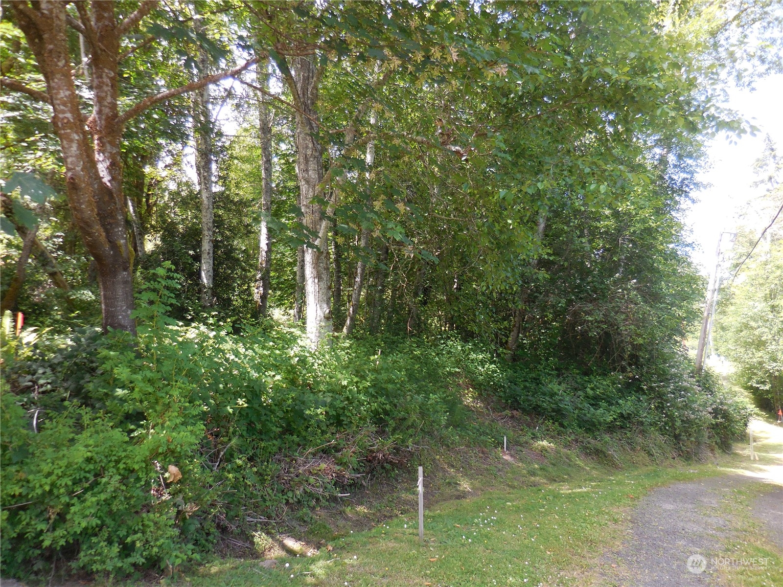 160 E Barbary Drive