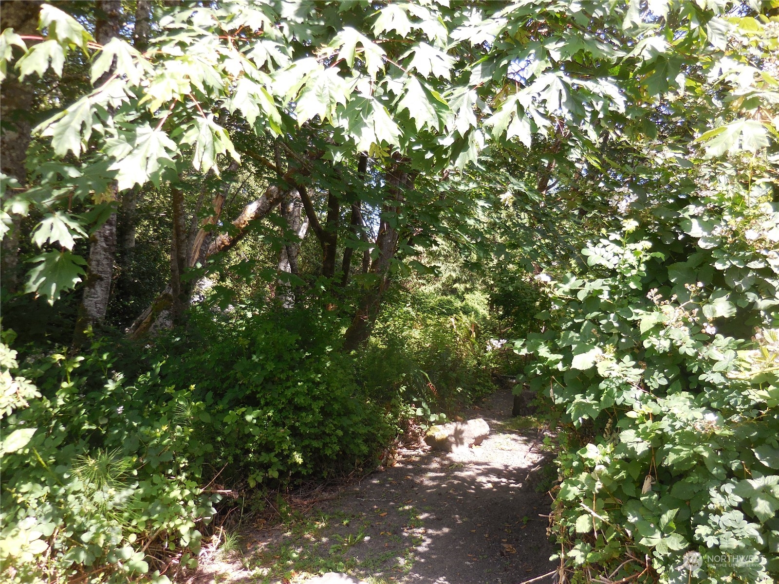 160 E Barbary Drive