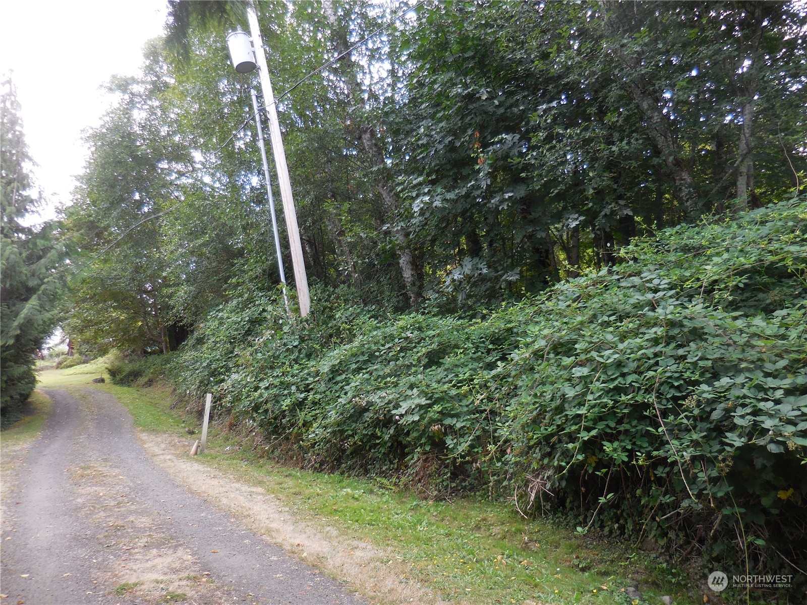 160 E Barbary Drive