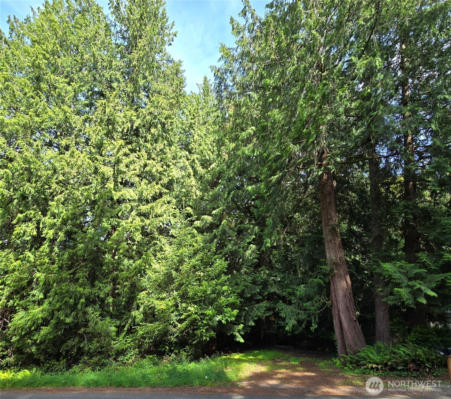 0 University Point Circle NE