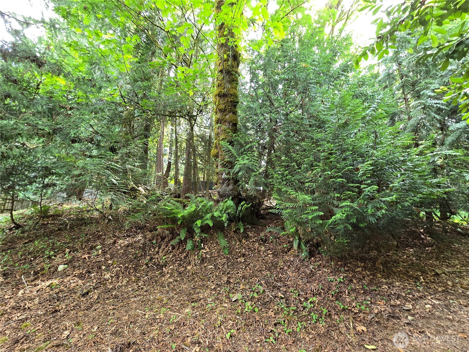 0 University Point Circle NE