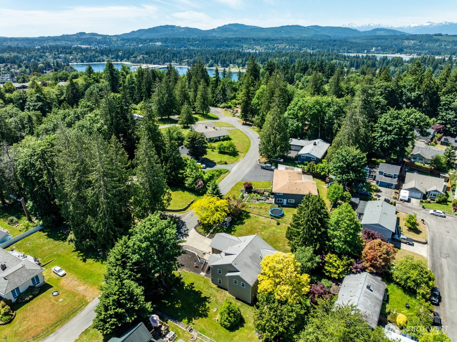 226 Alnus Way