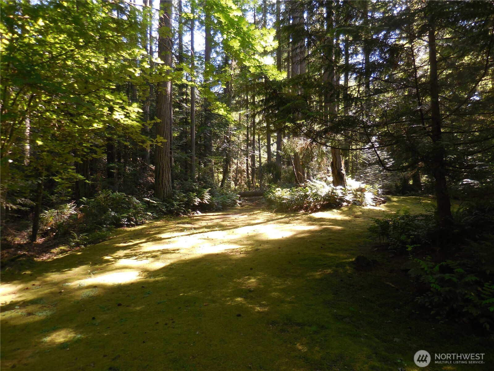 3649 Long Lake Road SE
