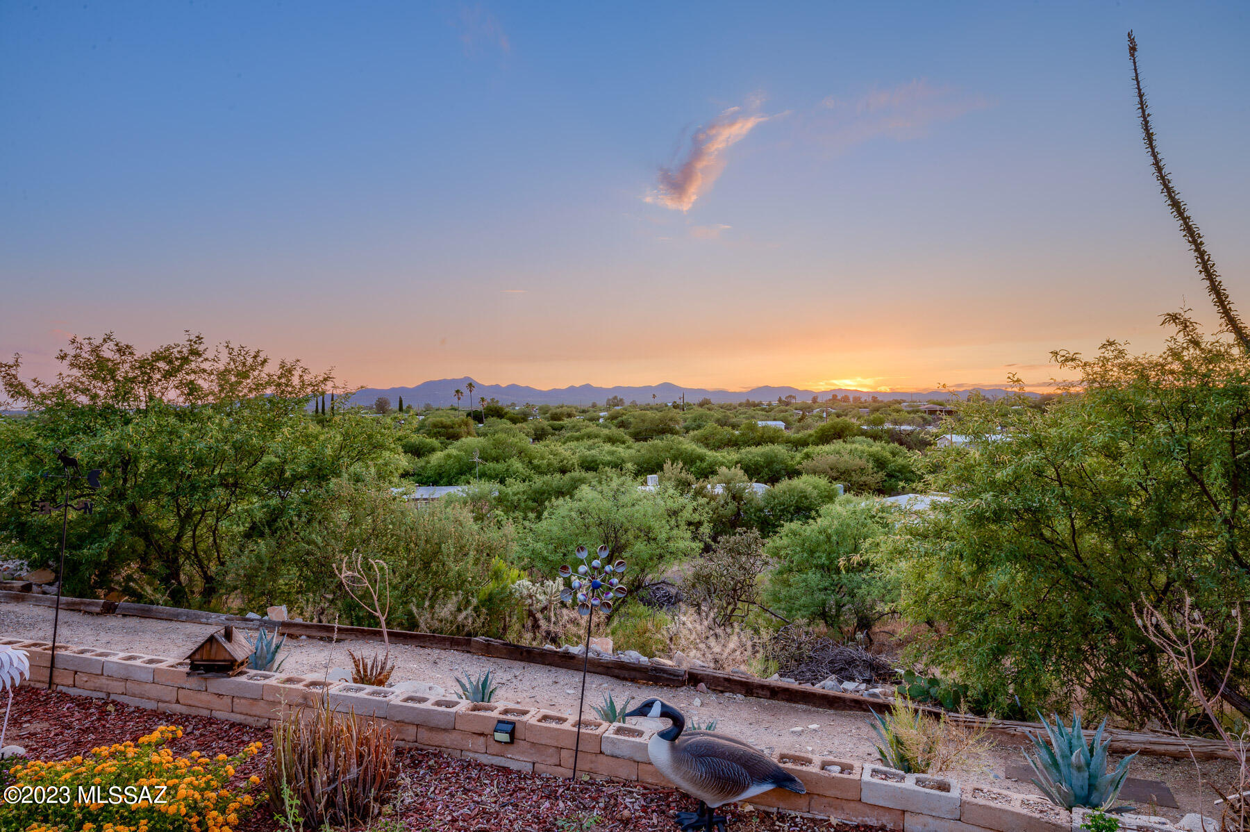 3916 E Coronado Sunset Drive