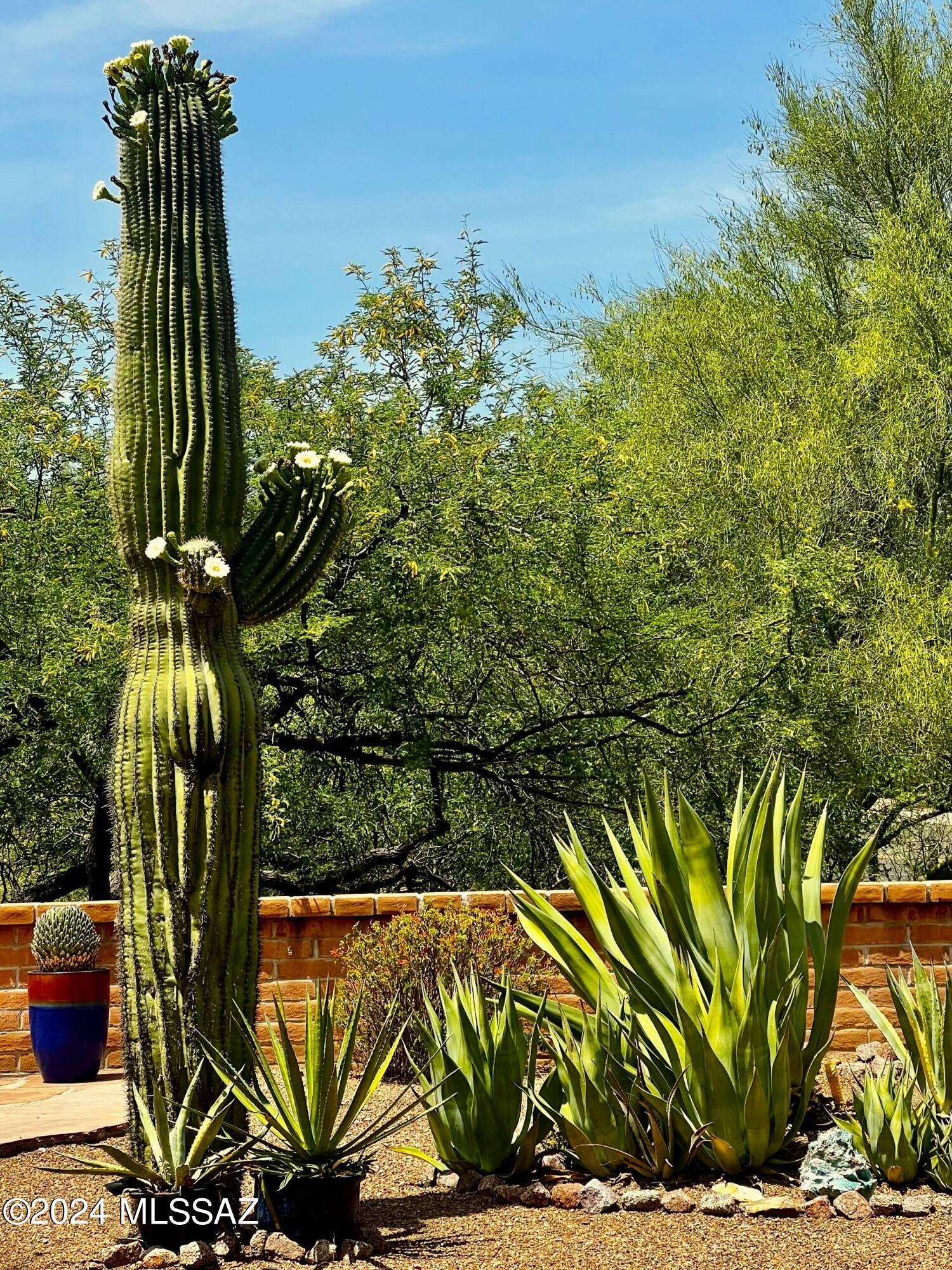 14343 N Copperstone Drive