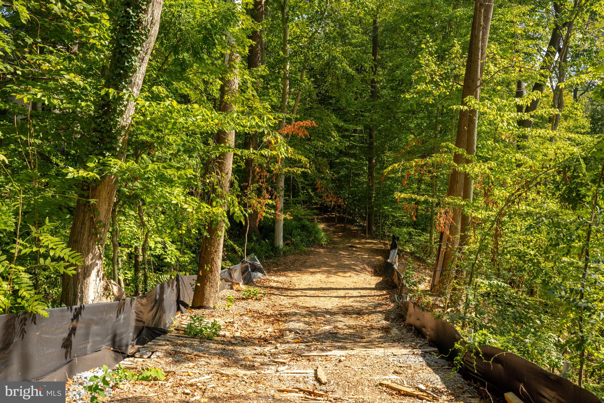 4025 Connecticut Ave NW #103