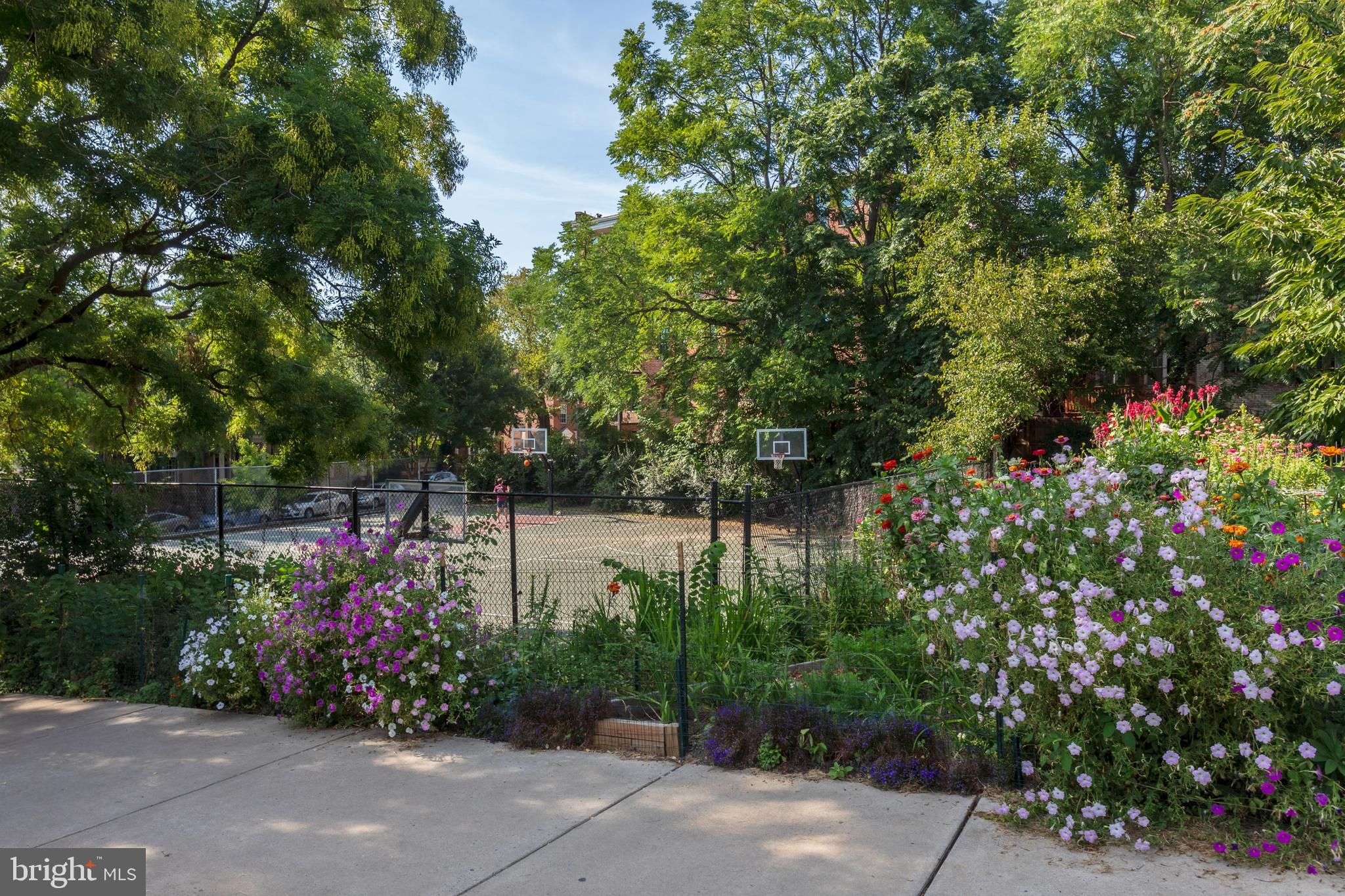 1939 Belmont Rd NW #1119