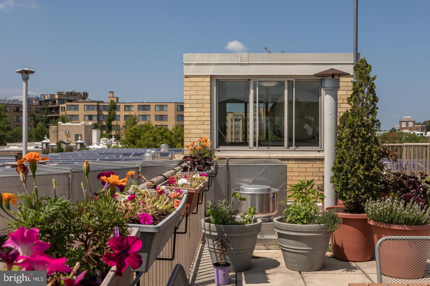 4600 Connecticut Ave NW #203