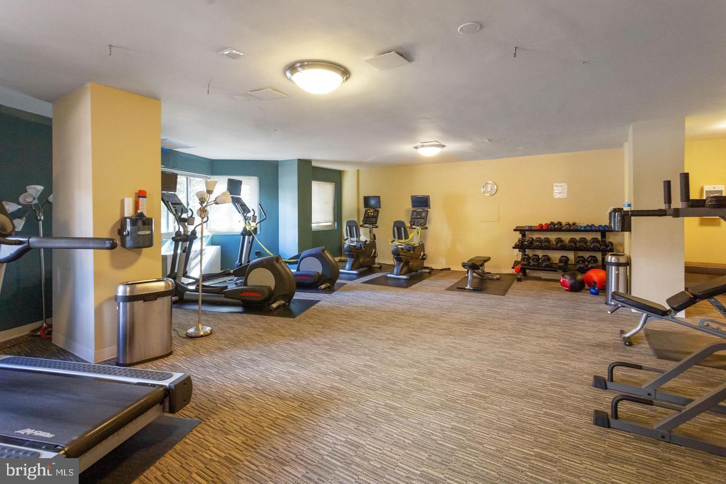 4600 Connecticut Ave NW #203