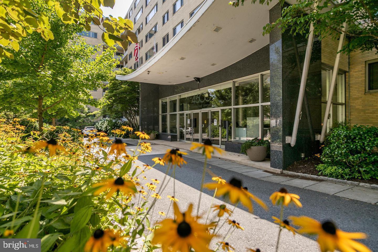 4600 Connecticut Ave NW #203
