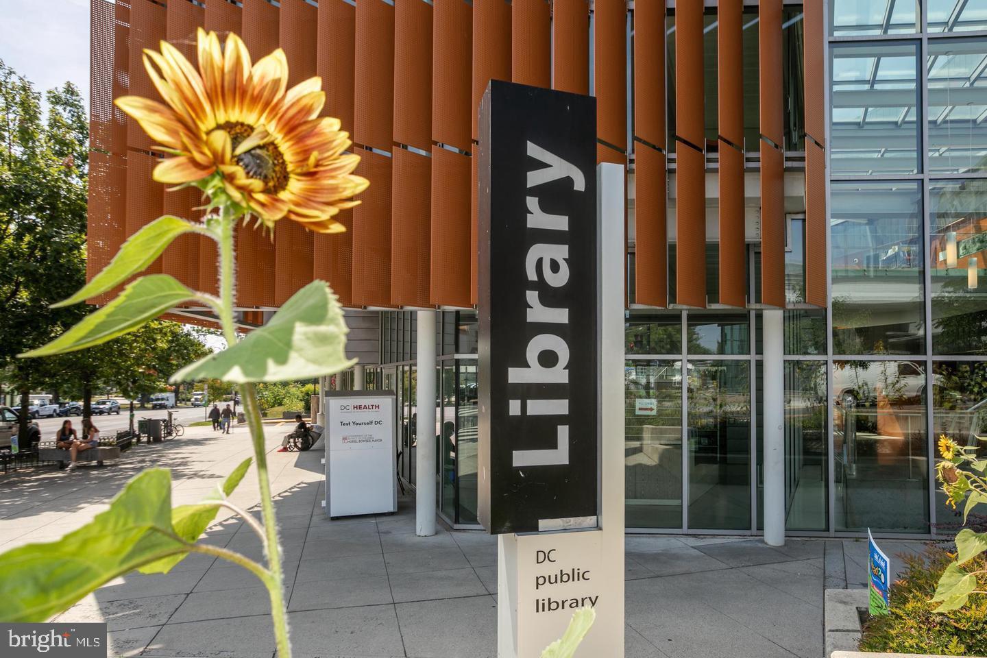 4600 Connecticut Ave NW #105