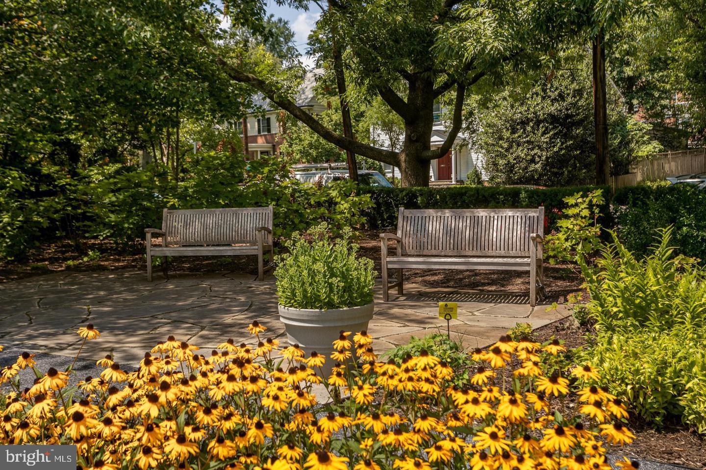 4600 Connecticut Ave NW #105