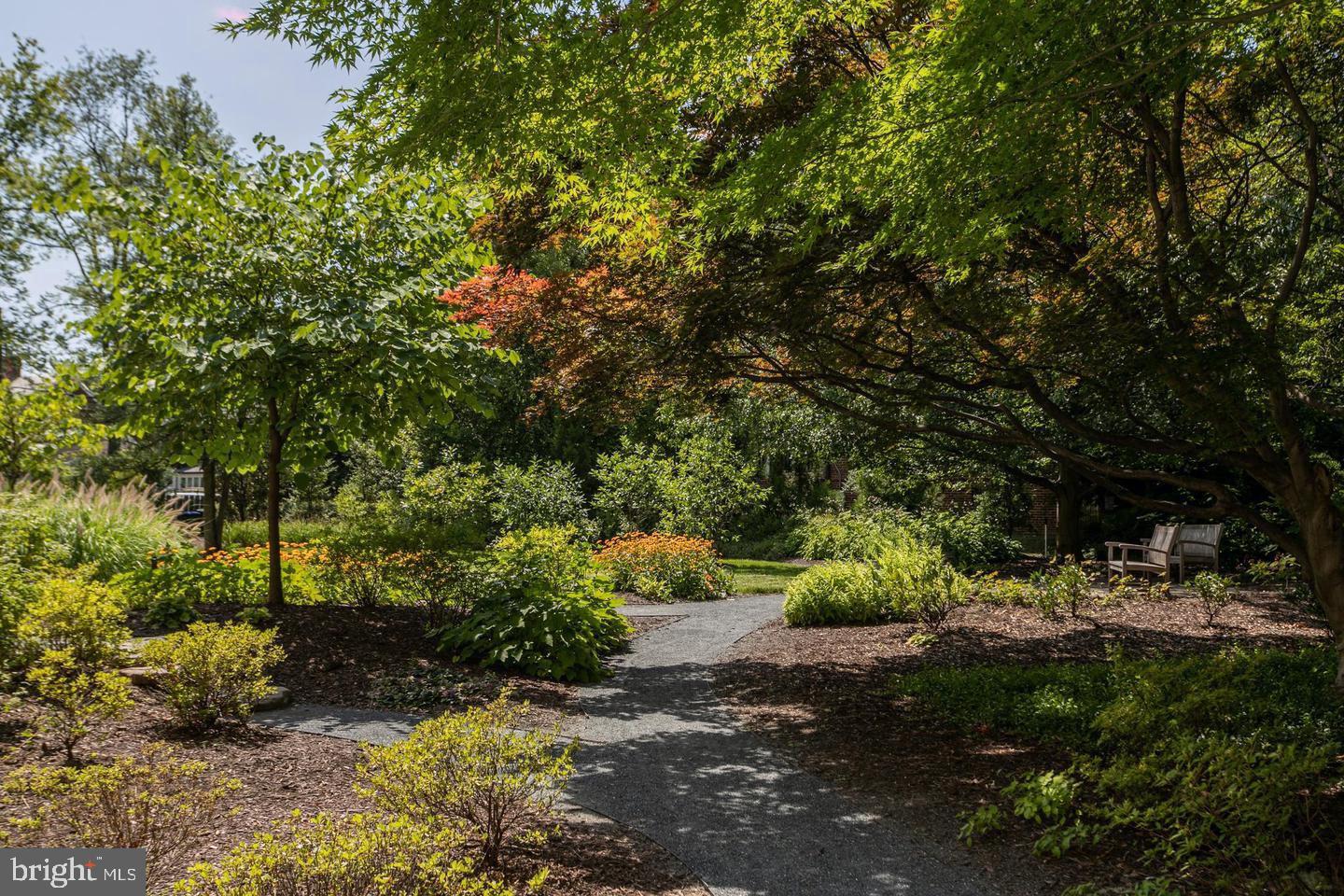 4600 Connecticut Ave NW #105