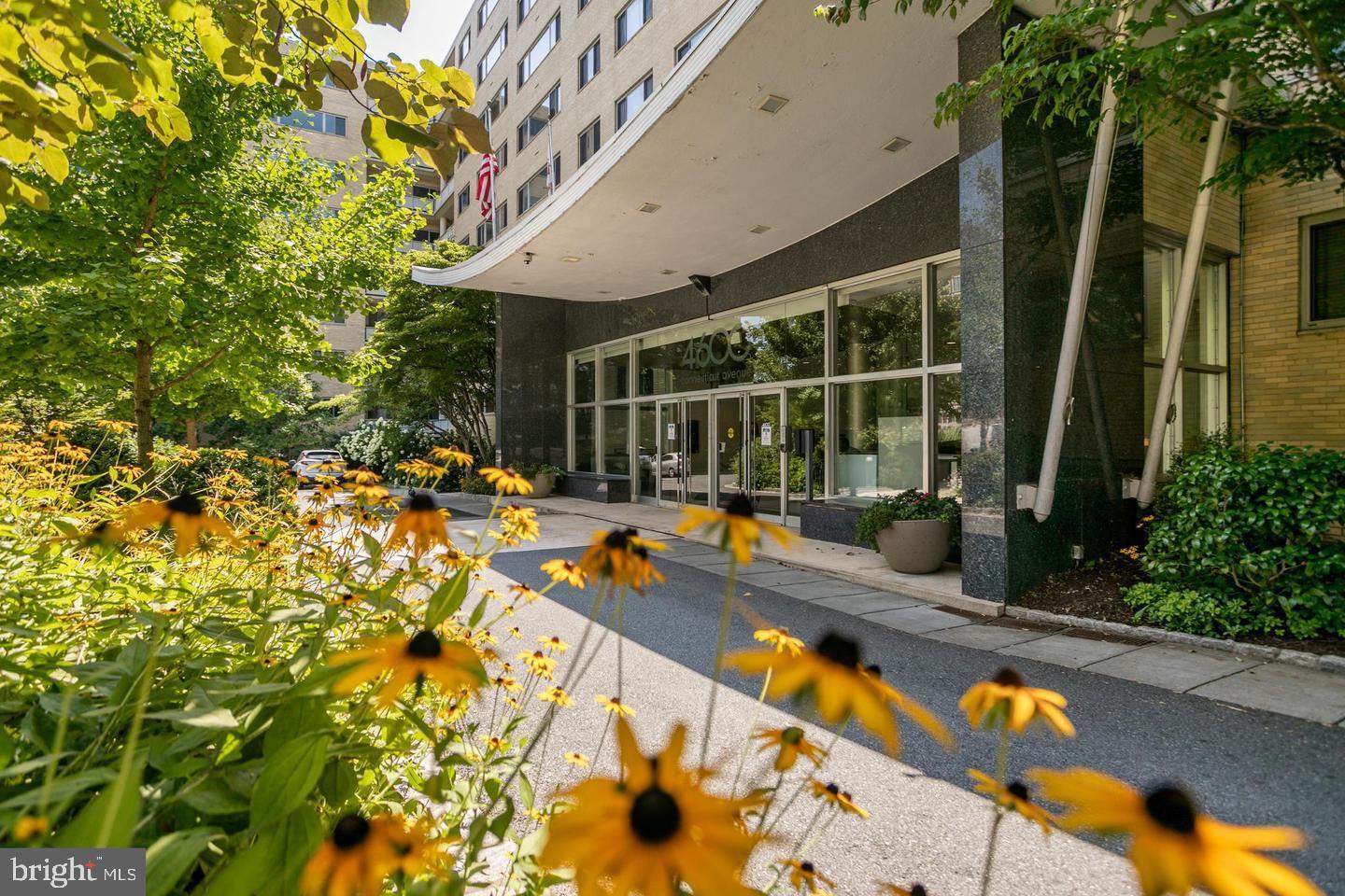 4600 Connecticut Ave NW #105