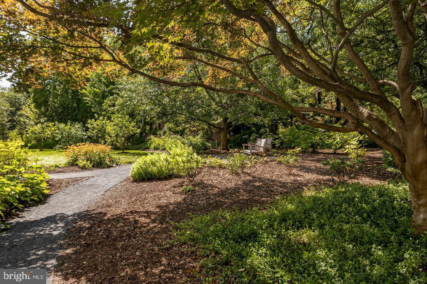 4600 Connecticut Ave NW #105