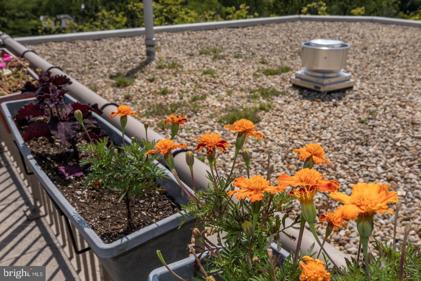 4600 Connecticut Ave NW #105