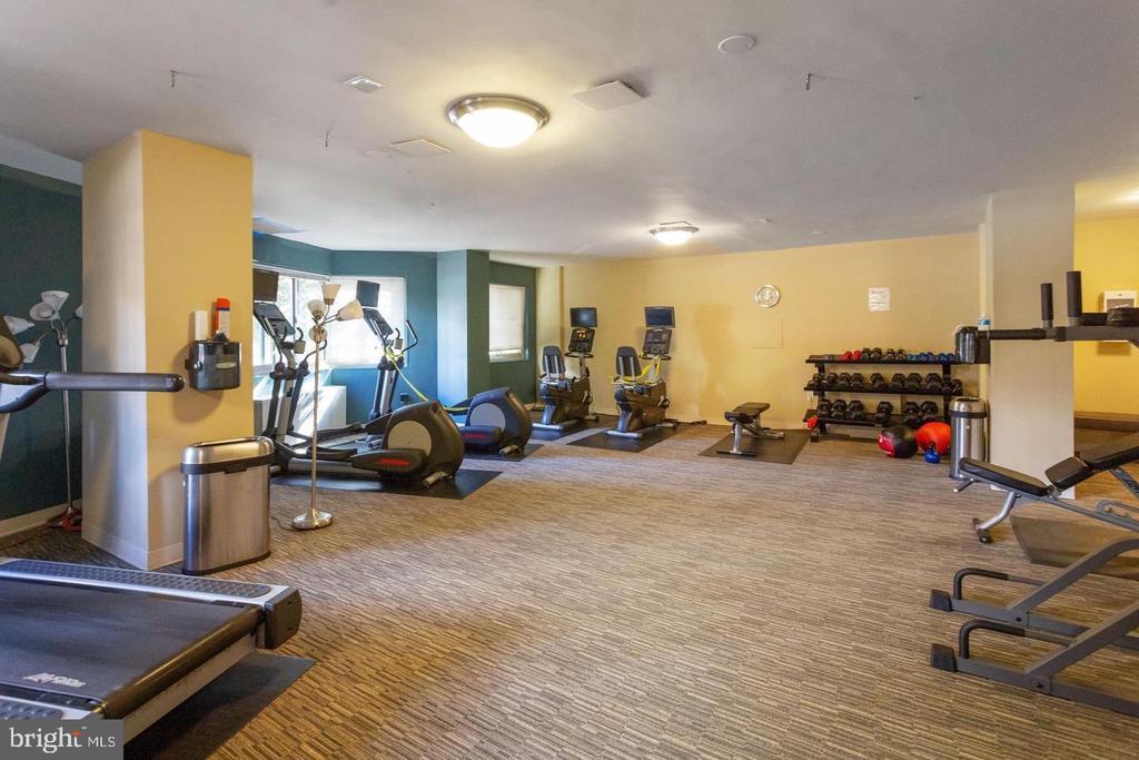 4600 Connecticut Ave NW #708