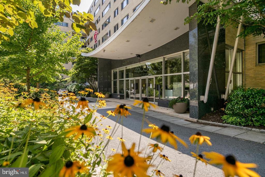 4600 Connecticut Ave NW #708