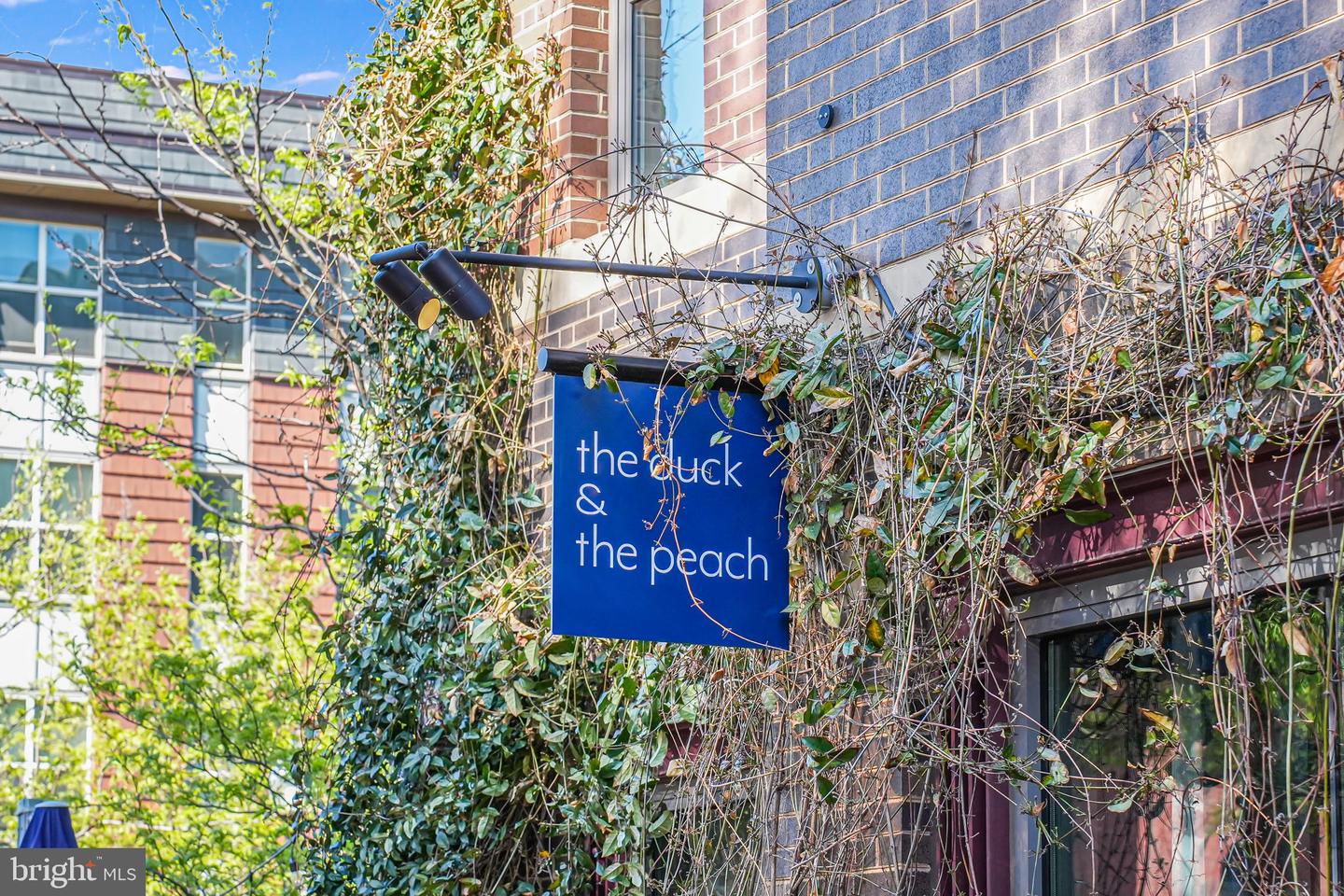1728 D St SE #1