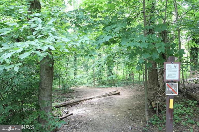 2800 Wisconsin Ave NW #504