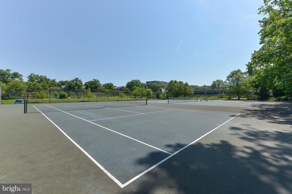2800 Wisconsin Ave NW #504