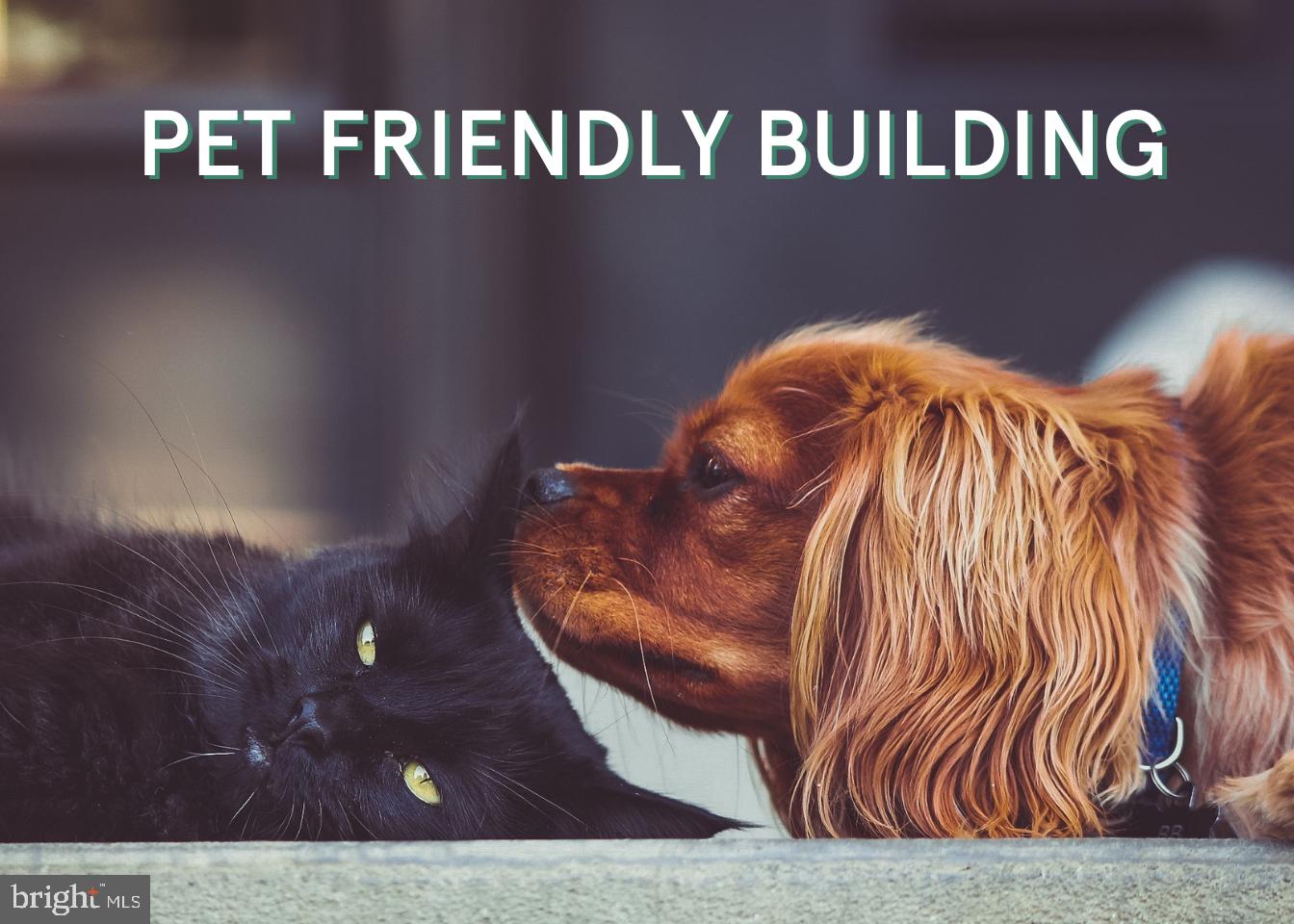 1502 13TH STREET NW 1