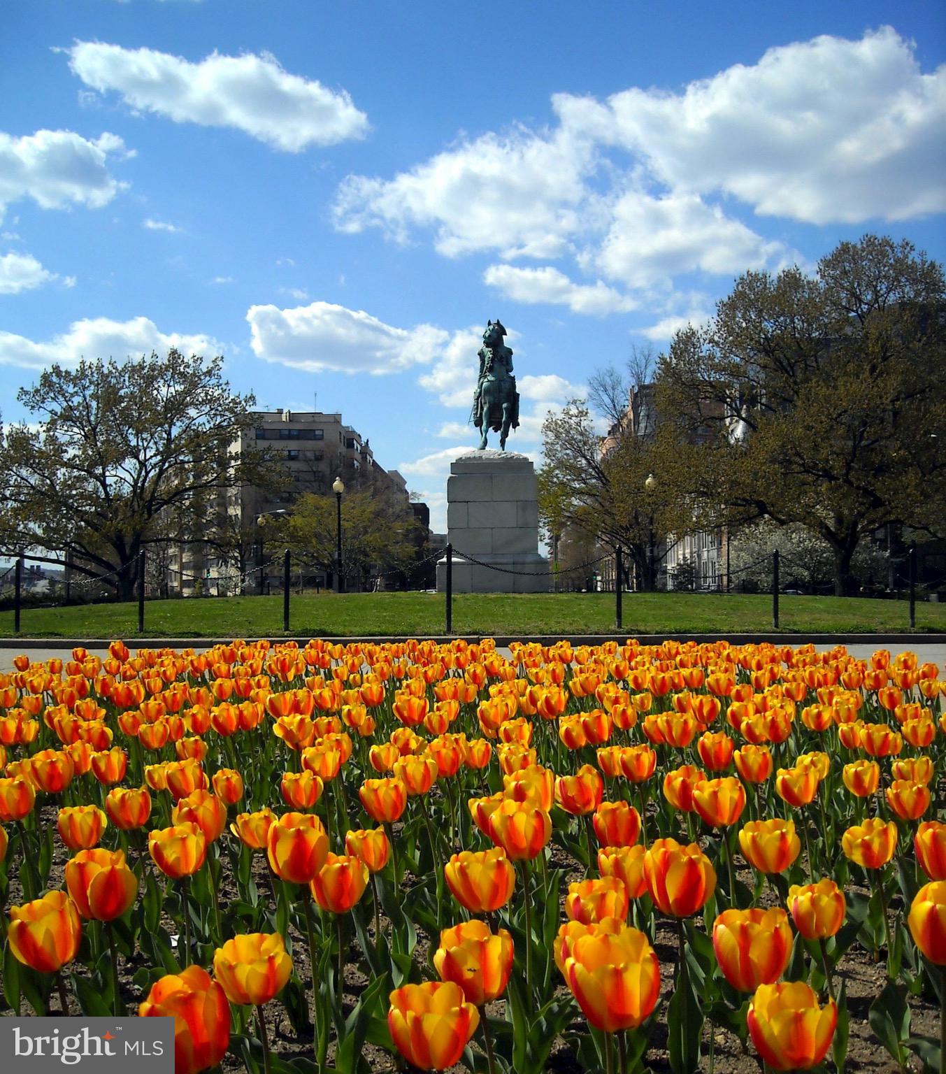 2475 VIRGINIA AVENUE NW 925