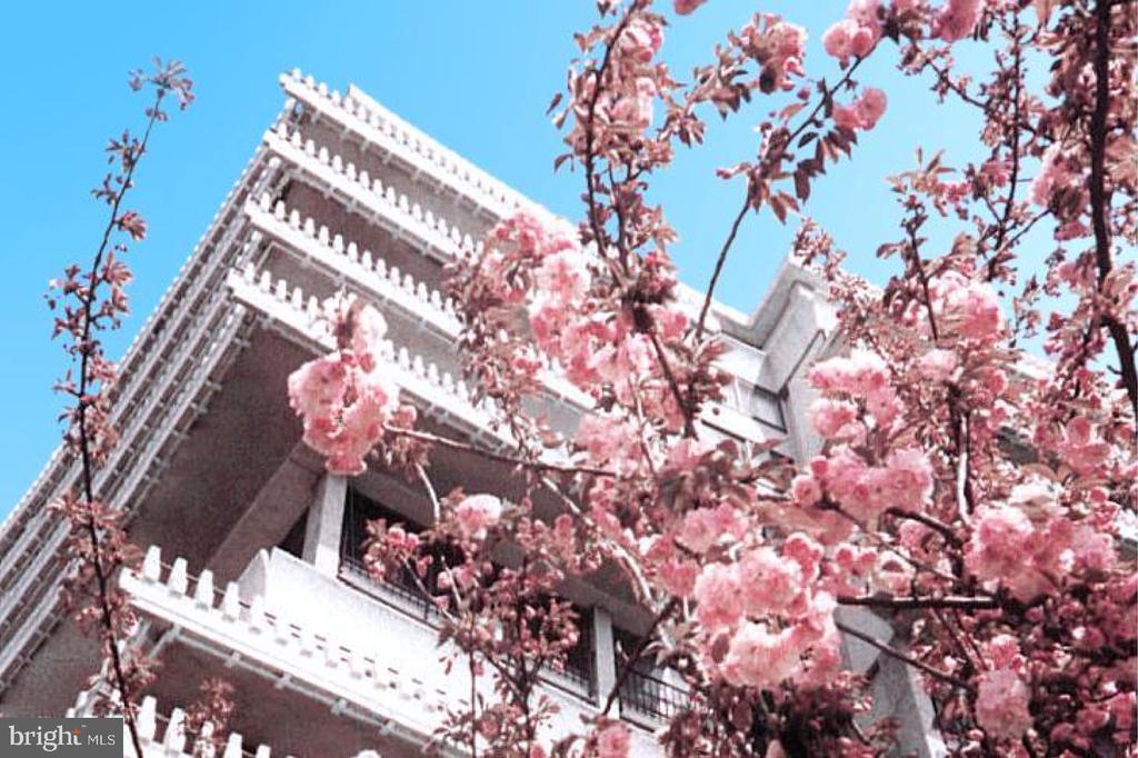 700 NEW HAMPSHIRE AVENUE NW Unit: 519