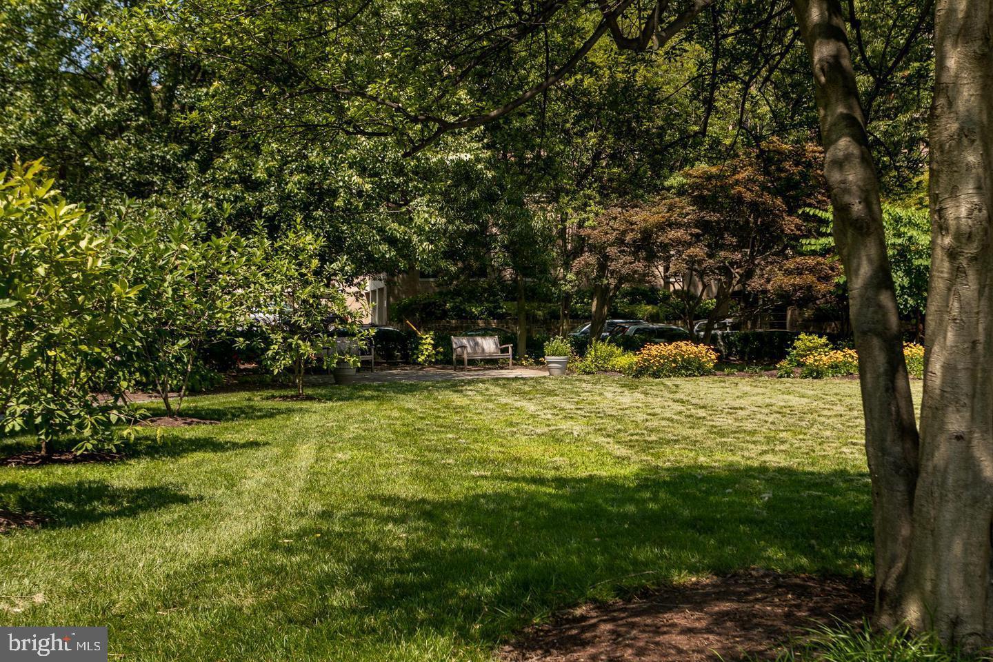 4600 CONNECTICUT AVENUE NW 717