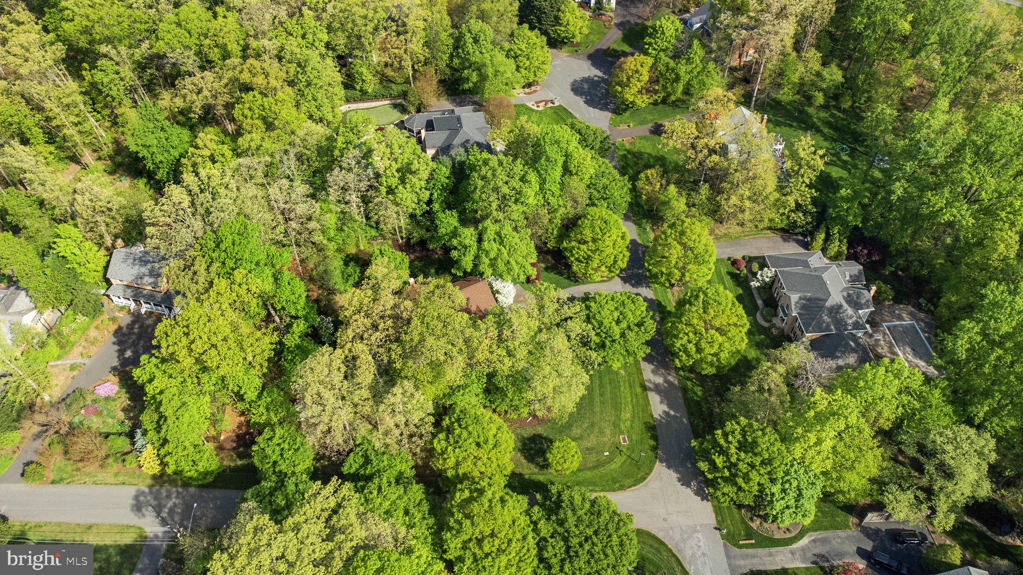 13200 Jasmine Hill Ter