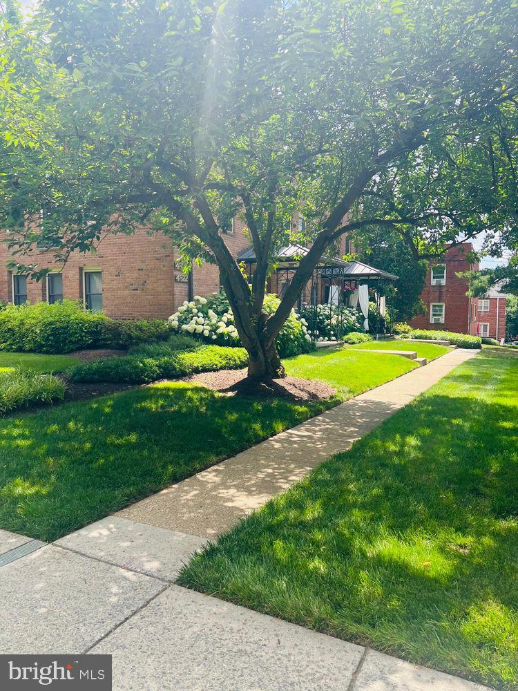 4822 Chevy Chase Dr #203
