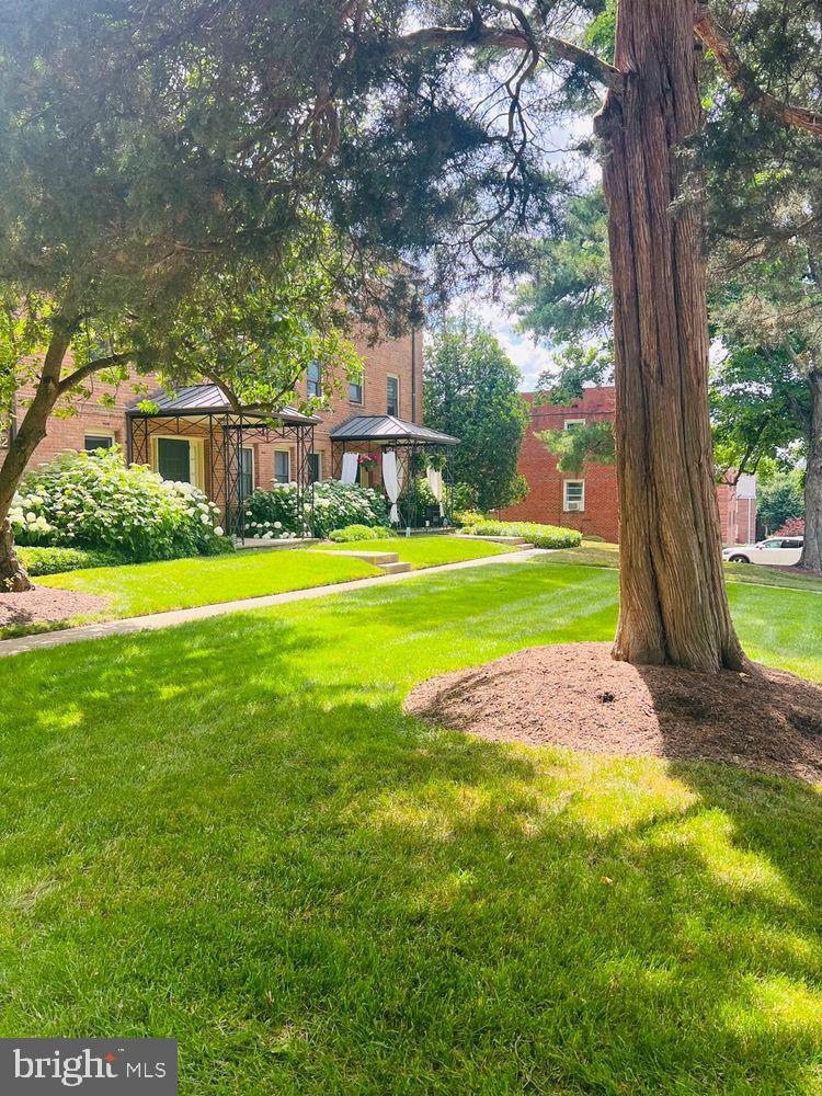4822 Chevy Chase Dr #203