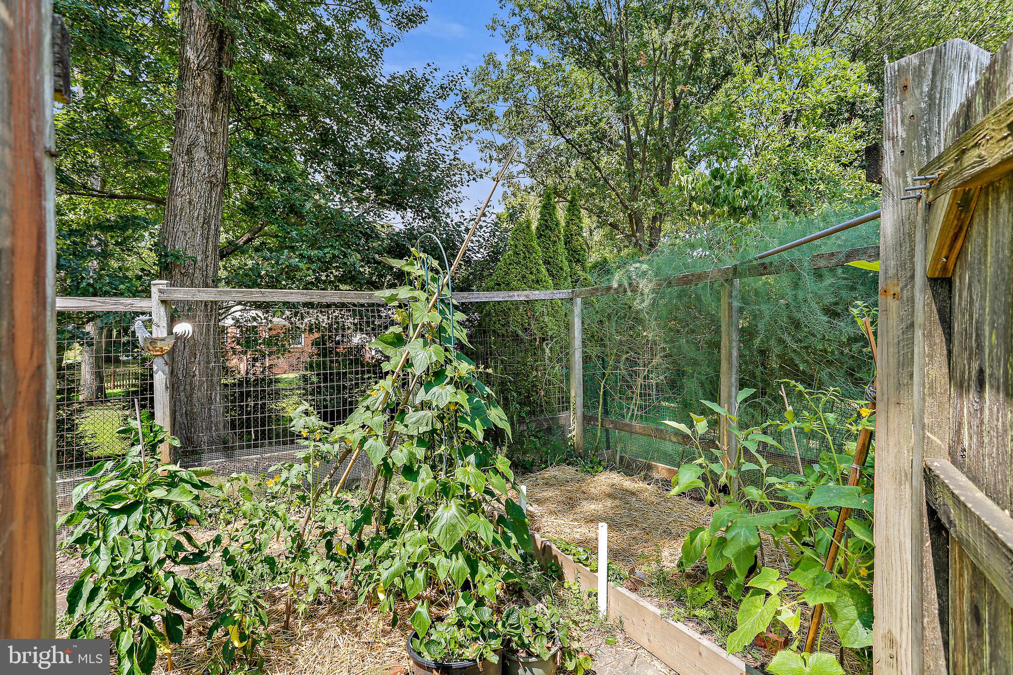 700 Copley Ln