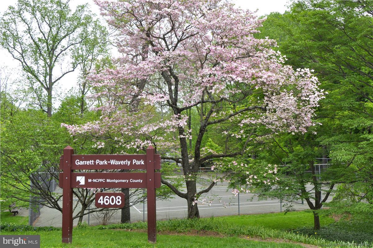 11710 Old Georgetown Rd #1503