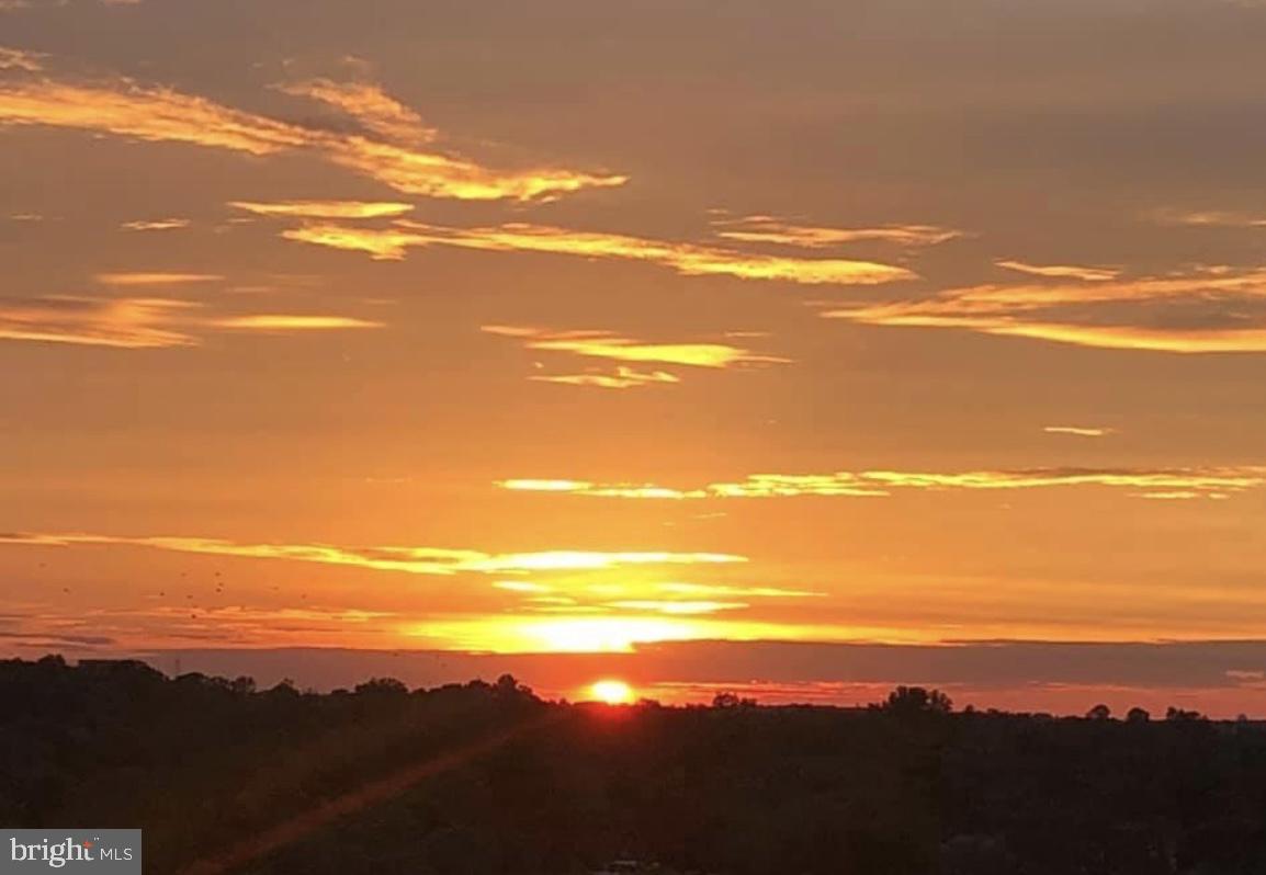 5225 Pooks Hill Rd #1613s