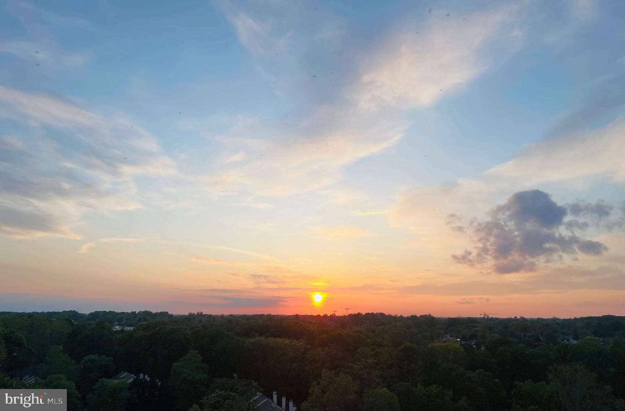 5225 Pooks Hill Rd #1613s