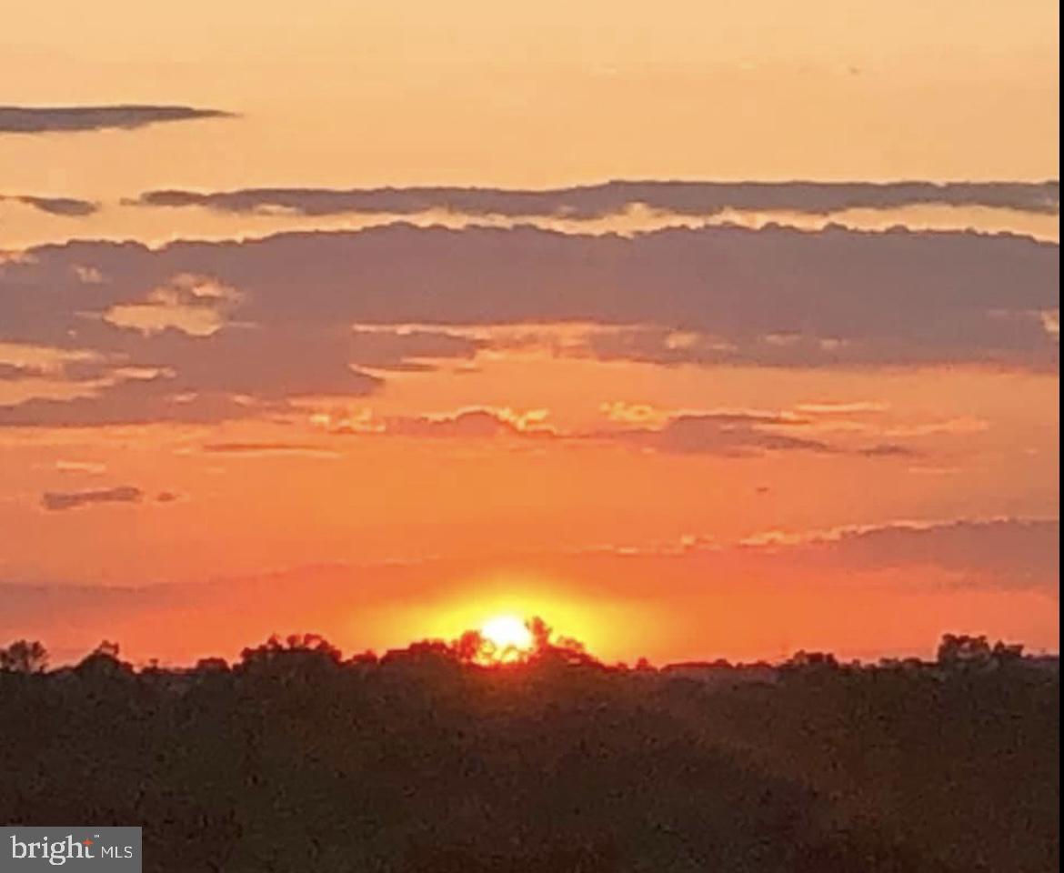 5225 Pooks Hill Rd #1613s