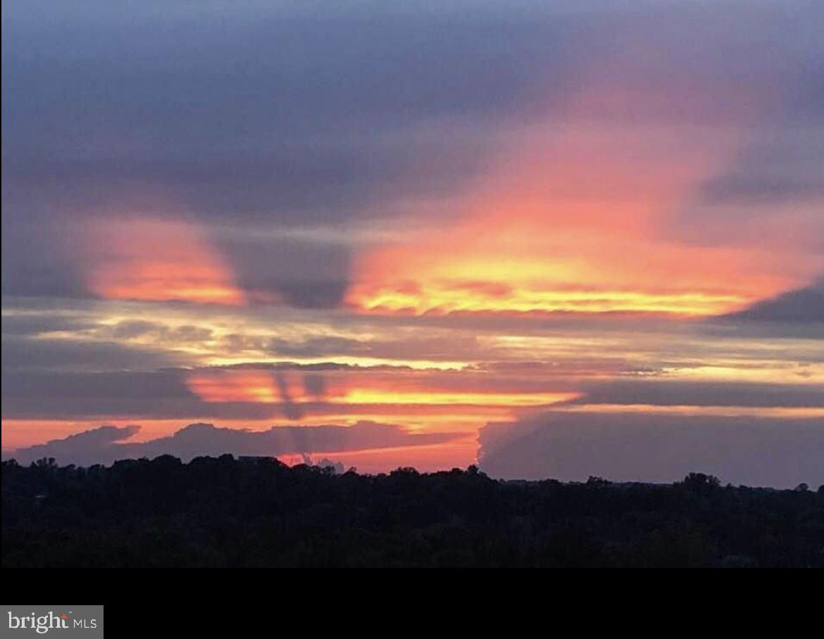 5225 Pooks Hill Rd #1613s