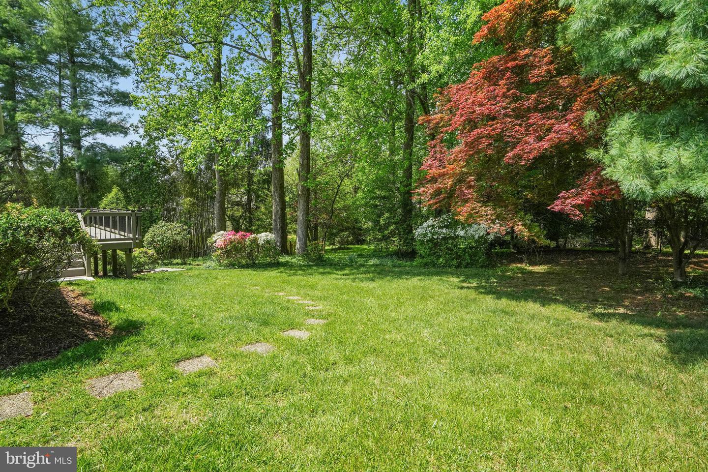 11524 le Havre Dr