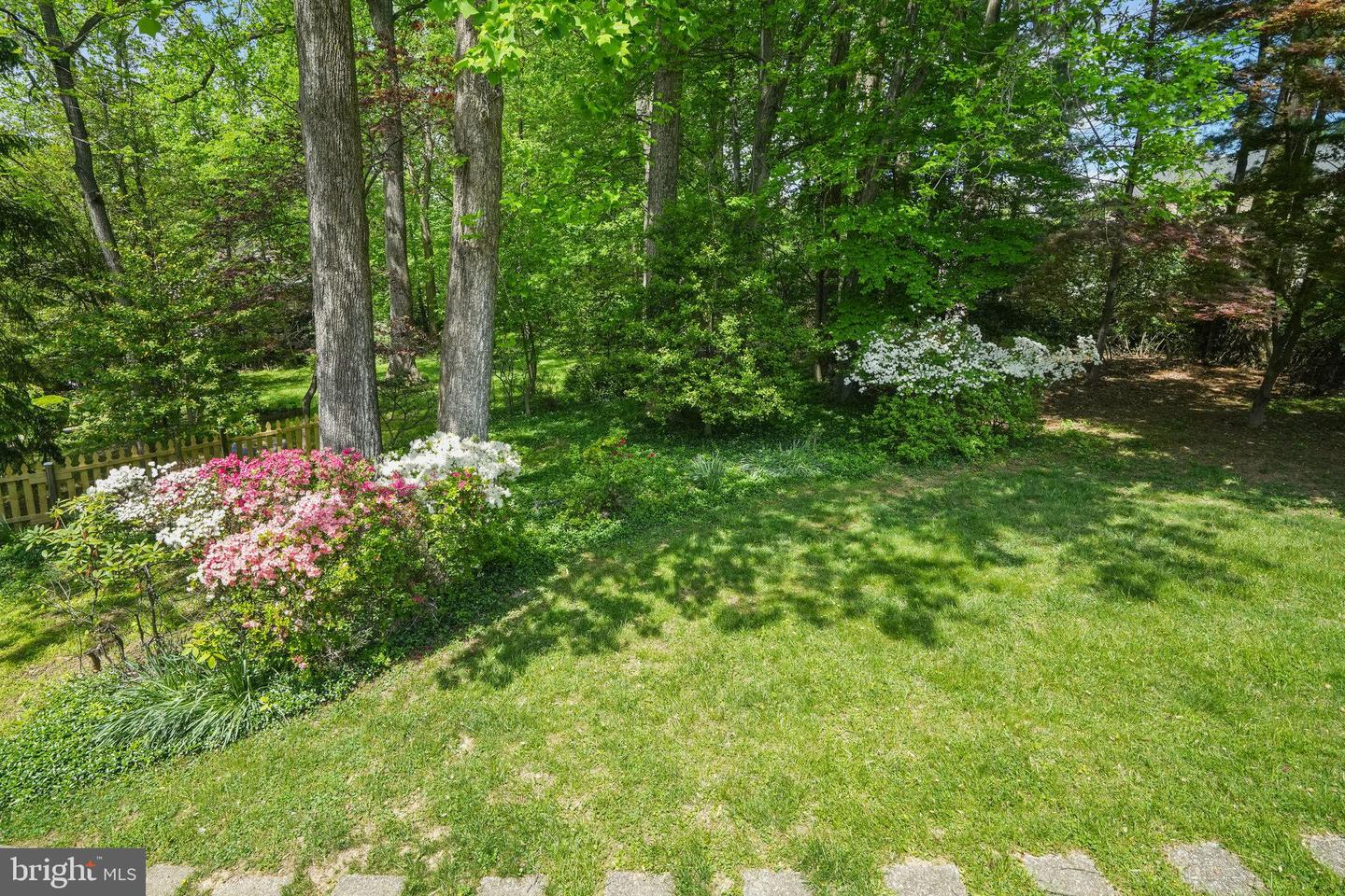 11524 le Havre Dr