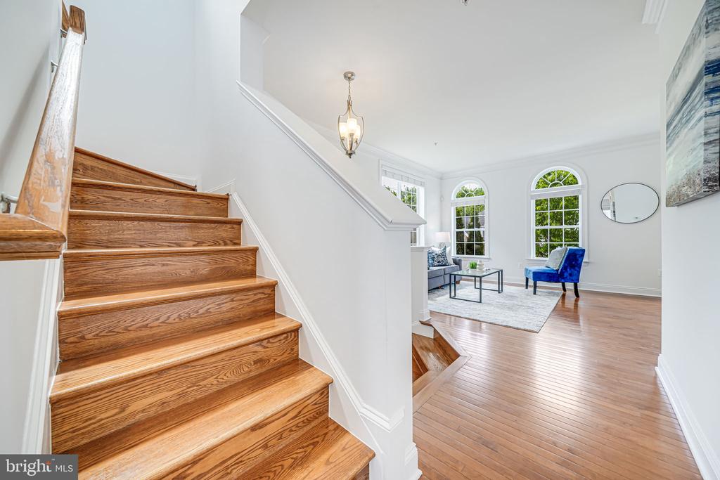 8217 Castanea Ln