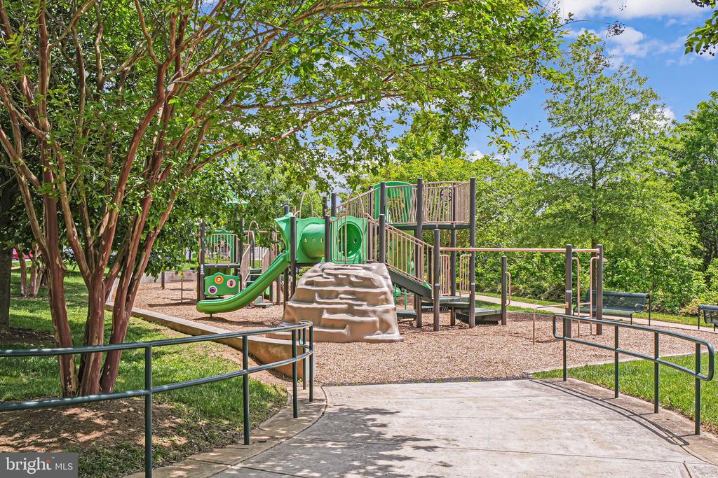 8217 Castanea Ln