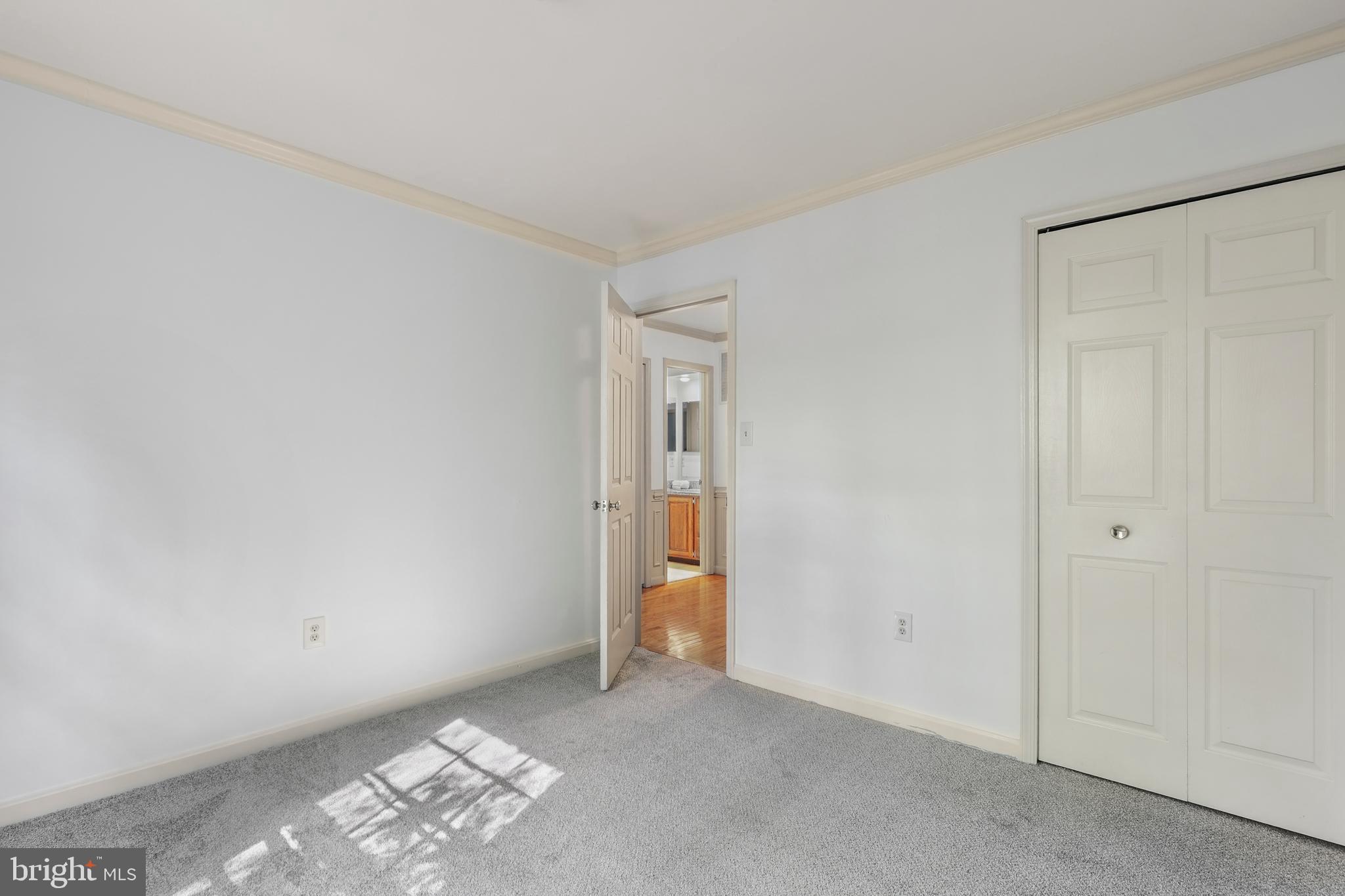 13423 RIPPLING BROOK DRIVE