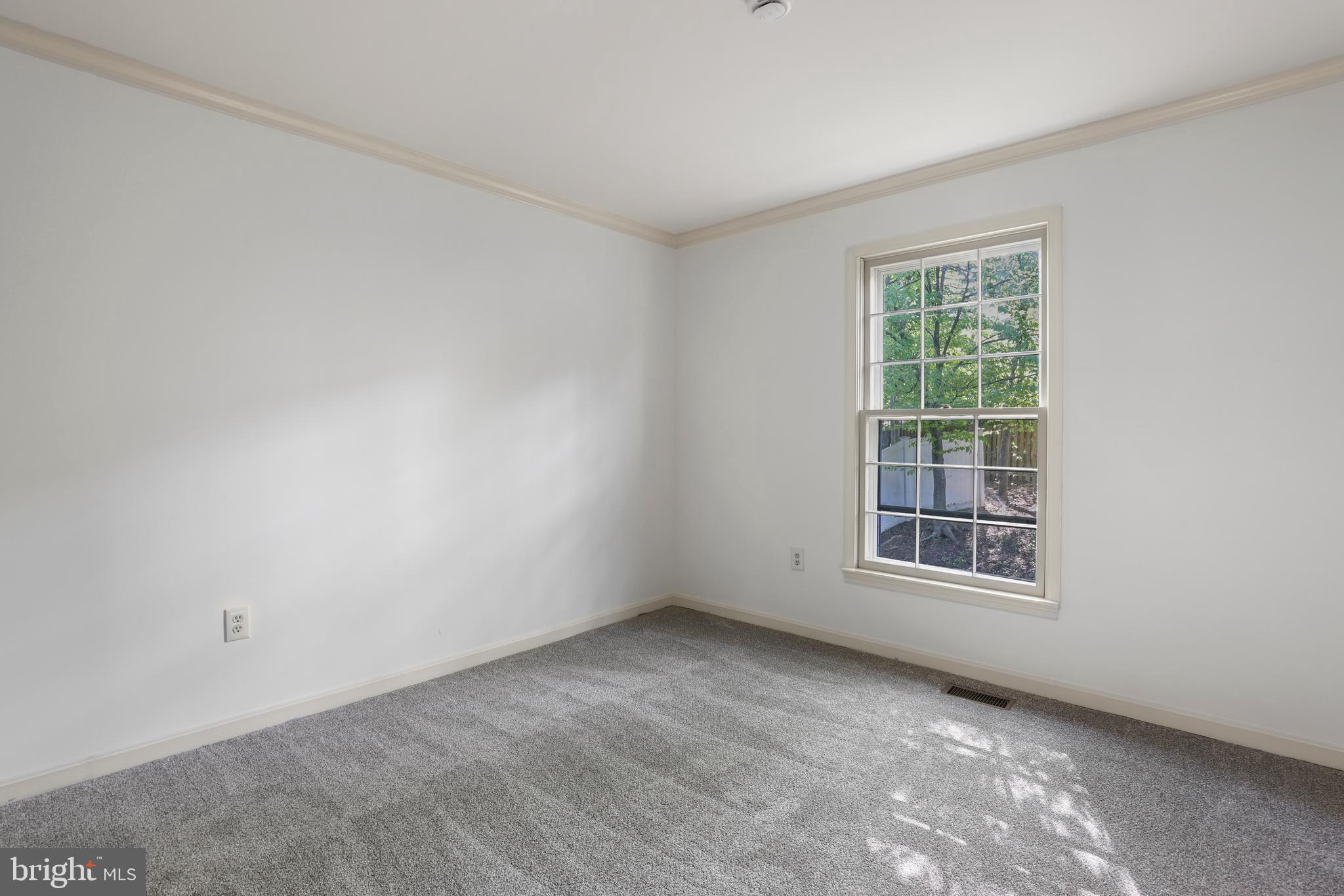 13423 RIPPLING BROOK DRIVE