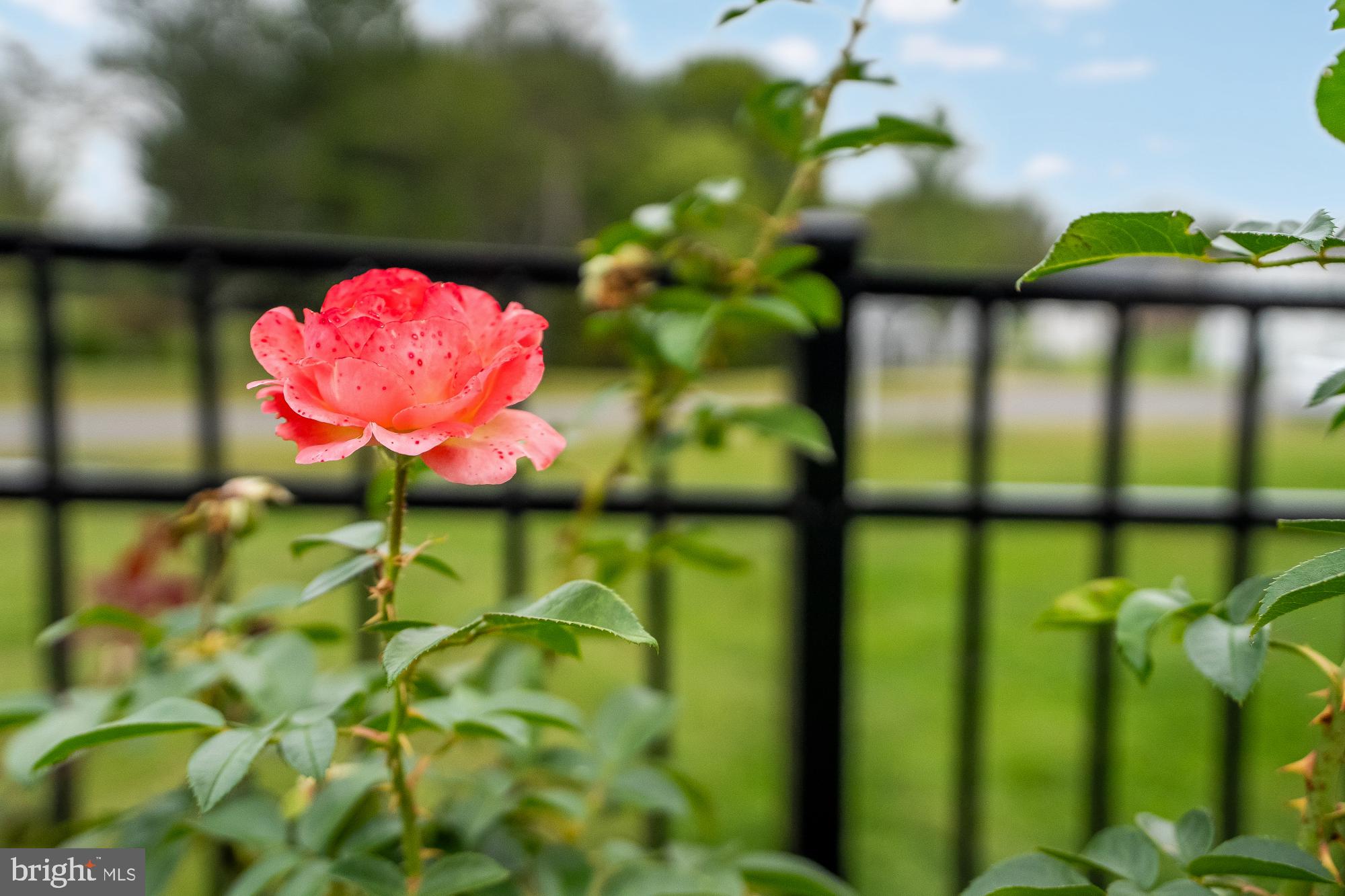 12918 BRIAR CREEK CT